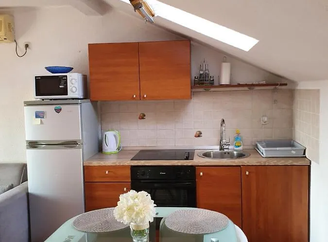 公寓 Petani 扎达尔